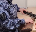 Росгвардейцы изъяли ружьё у жителя Корсакова, подозреваемого в умышленном преступлении