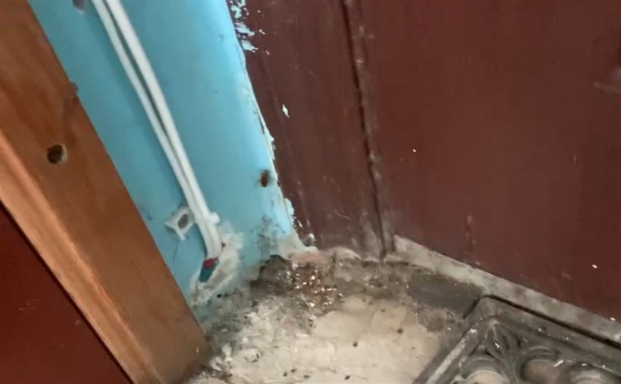 Из квартиры в Корсакове, где произошло преступление, по всему дому расползаются клопы и тараканы