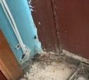 Из квартиры в Корсакове, где произошло преступление, по всему дому расползаются клопы и тараканы