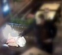 Благовещенец в баре выстрелил в сторону женщины из пистолета