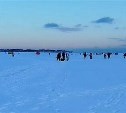  В заливе Мордвинова специалисты заметили первоначальные виды дрейфующего льда