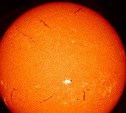 Учёные сообщили о появлении пугающих "шрамов" на Солнце, которые опасны для землян