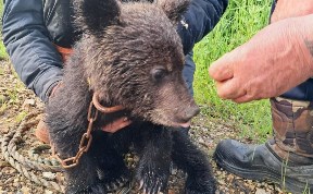 Общество