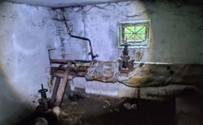 Общество