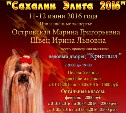 Выставка собак пройдет в Южно-Сахалинске