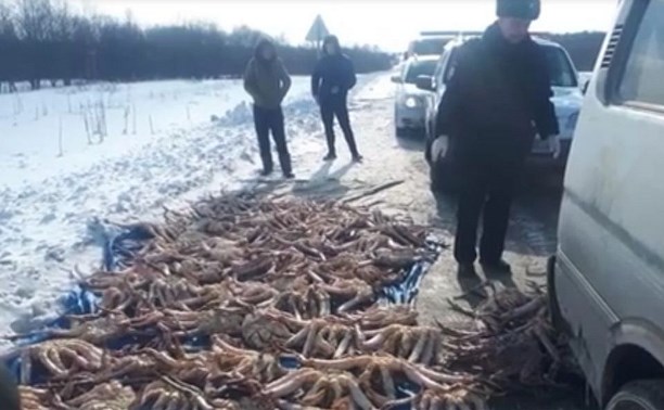 На Сахалине задержали микроавтобус с 700 кг камчатского краба