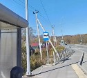 Жители СНТ за Дальним просят подключить опоры освещения, установленные год назад 
