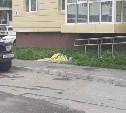 Женщина выпала из окна пятого этажа в Южно-Сахалинске
