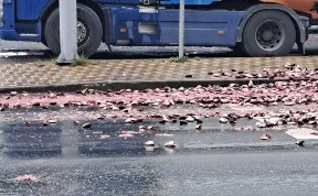 Общество