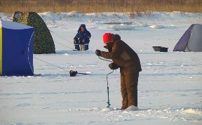 Общество