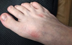 Происшествия