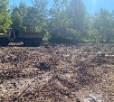 Место незаконной вырубки леса в особо крупном размере обнаружили на Сахалине