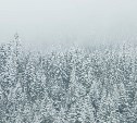 Снежно и пасмурно: прогноз погоды в Сахалинской области на 8 декабря