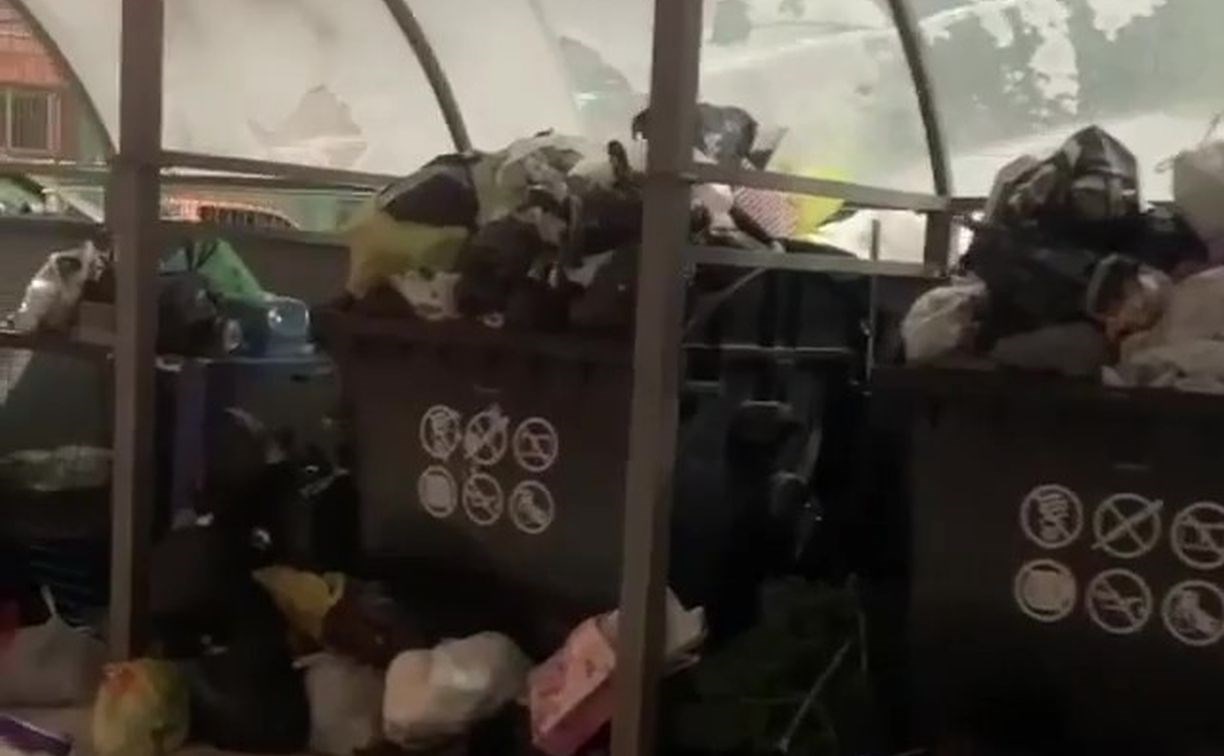 Южносахалинцы сняли на видео кучи "новогоднего" мусора во дворах