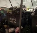 Южносахалинцы сняли на видео кучи "новогоднего" мусора во дворах