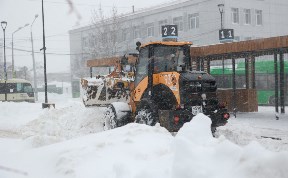 Общество