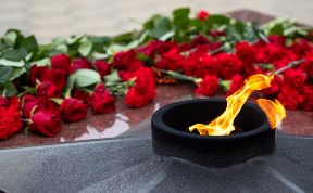 Общество