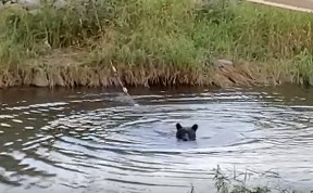 Общество