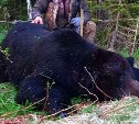 Как добыть и приготовить медведя: на Сахалине рассказали об итогах весенней охоты