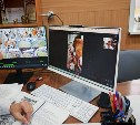Ветеринары двух районов Сахалина впервые провели операцию по телемосту ради спасения собаки с опухолью