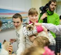 Пожертвования для собак и кошек, живущих в приюте, соберут в Южно-Сахалинске