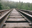 Машиниста поезда на Сахалине оправдали по делу о гибели мужчины на железной дороге