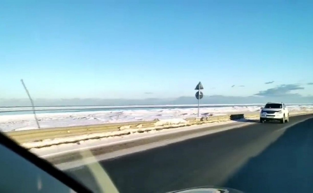 "Лёд пригнало": любители зубатой корюшки караулят припай на юго-восточном побережье Сахалина