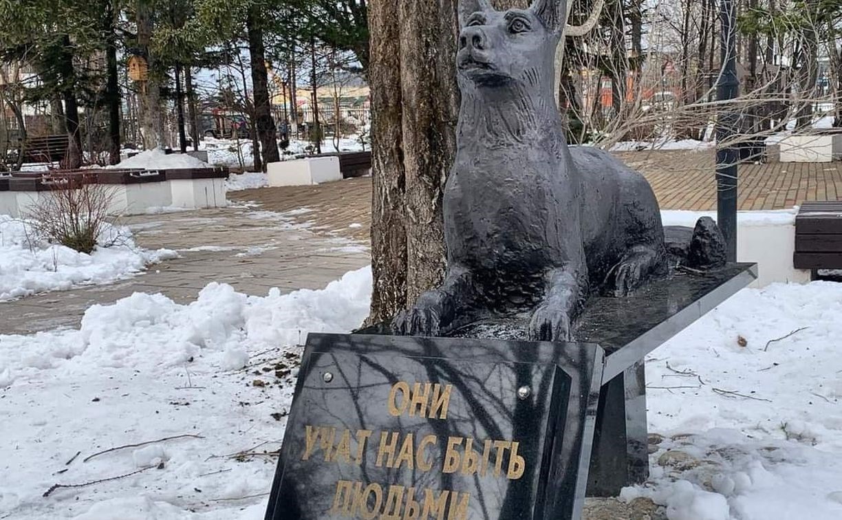 Памятник бездомной собаке открыли на Сахалине