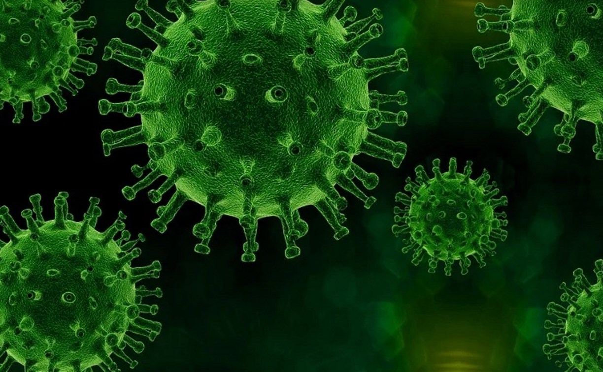 Два новых случая коронавирусной инфекции подтвердили на Сахалине