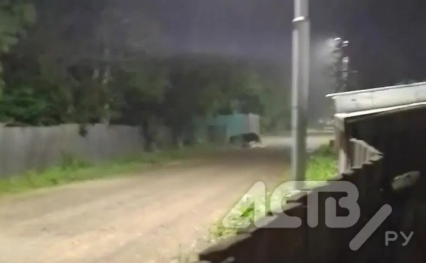 Медведь разворошил мусорные баки в Смирных - жители вызвали лесничих