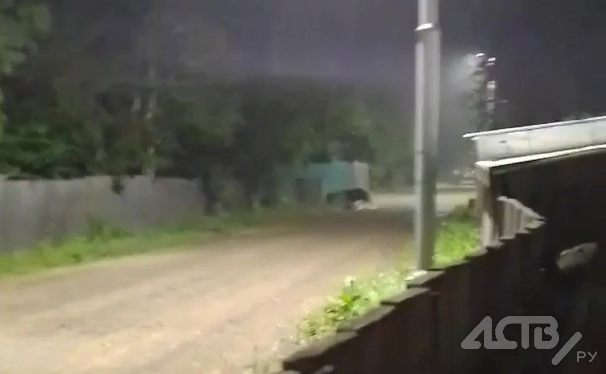 Медведь разворошил мусорные баки в Смирных - жители вызвали лесничих
