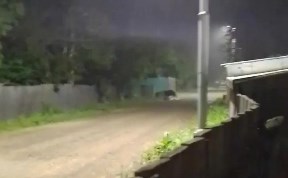 Происшествия