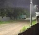 Медведь разворошил мусорные баки в Смирных - жители вызвали лесничих
