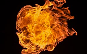 Происшествия