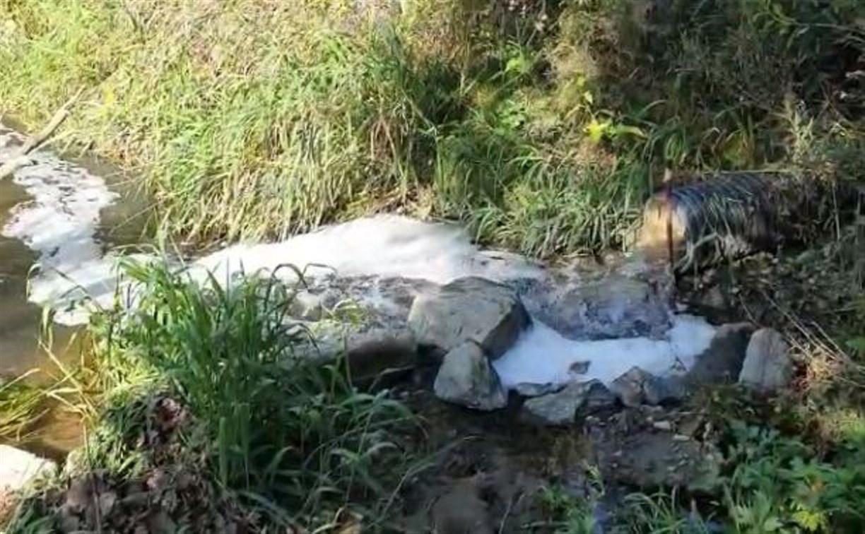 Южносахалинцы забили тревогу из-за сомнительной пены в реке Зима