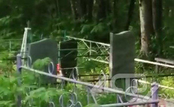 Разгуливающего по кладбищу медведя могут отстрелить на Сахалине