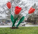 Знаменитые тюльпаны, возможно, уберут с центральных улиц Южно-Сахалинска
