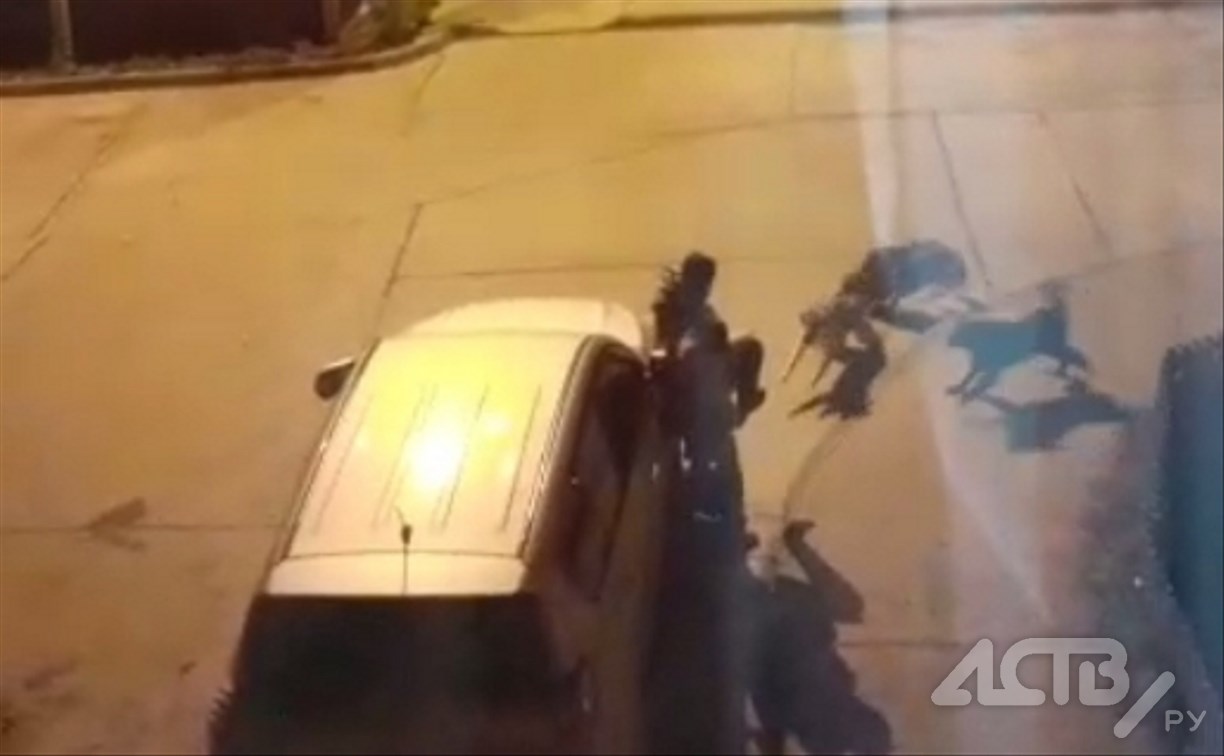 "Отпинывались ногами": стая агрессивных собак в Невельске атаковала женщину с ребёнком