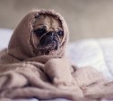Должникам СКК отключат теплоснабжение