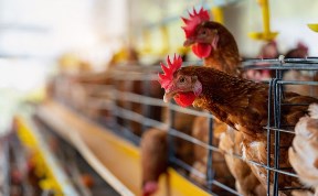 Происшествия