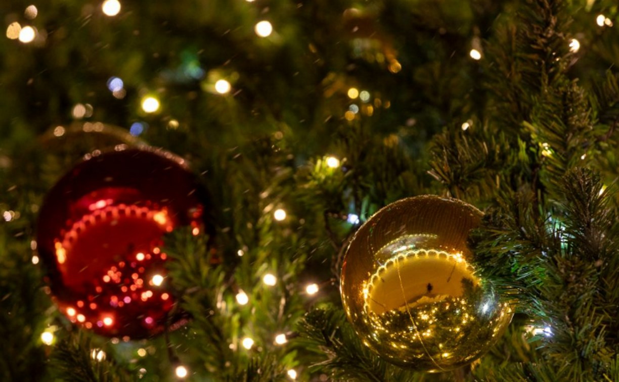 Студенты Сахалинского государственного университета поделились впечатлениями от жизни в областном центре