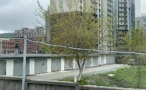 Общество