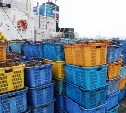 Почти 2 тысячи тонн морского ежа и краба отправили на экспорт из Южно-Курильска с начала года