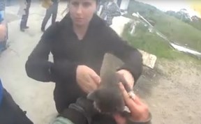 Происшествия