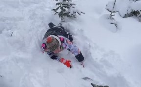 Происшествия