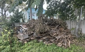 Общество