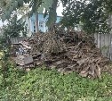 Сахалинские спасатели помогли ветерану ВОВ с уборкой участка