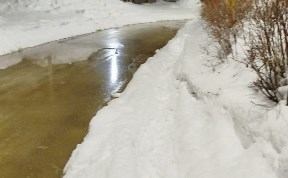 Происшествия