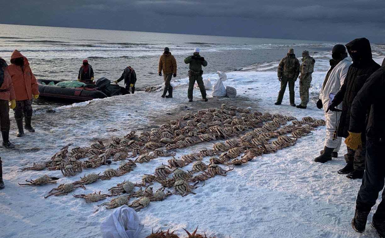 Пограничники задержали браконьеров с 342 крабами на побережье Татарского пролива