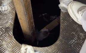 Общество